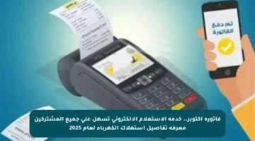 فاتورة أكتوبر.. خدمة الاستعلام الإلكتروني تسهل على جميع المشتركين معرفة تفاصيل استهلاك الكهرباء لعام 2025